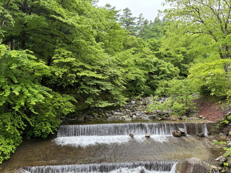 暑い夏に欠かせないもの